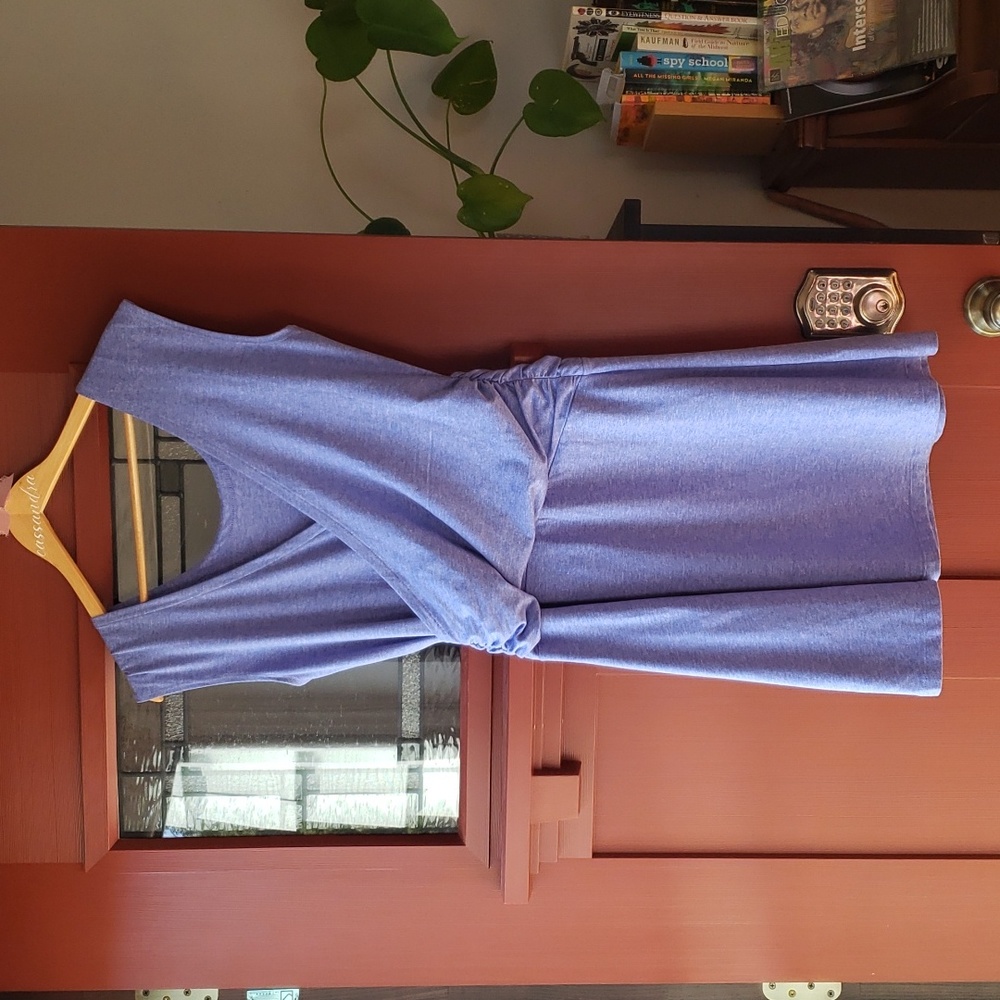 Patagonia Periwinkle dress